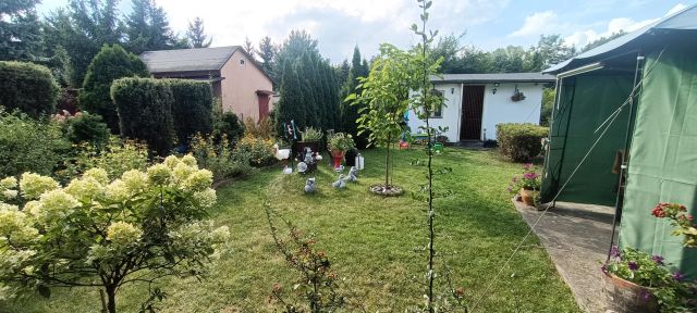 Działka rod Łódź Górna, ul. Lodowa. Zdjęcie 1