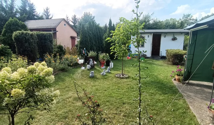 Działka rod Łódź Górna, ul. Lodowa