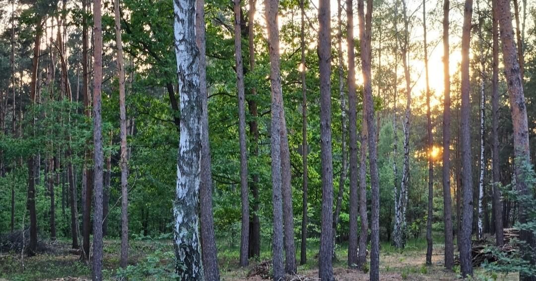 Działka budowlana Solec Kujawski, ul. Garbary. Zdjęcie 5