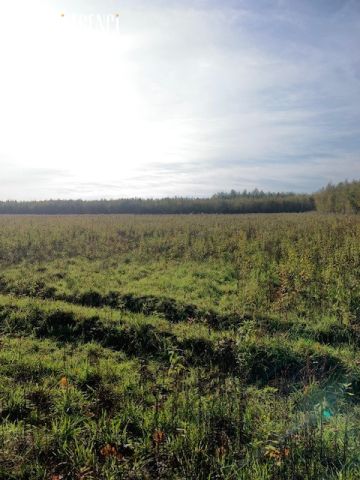 Działka inwestycyjna Pęchery, ul. Bolesława Chrobrego. Zdjęcie 2
