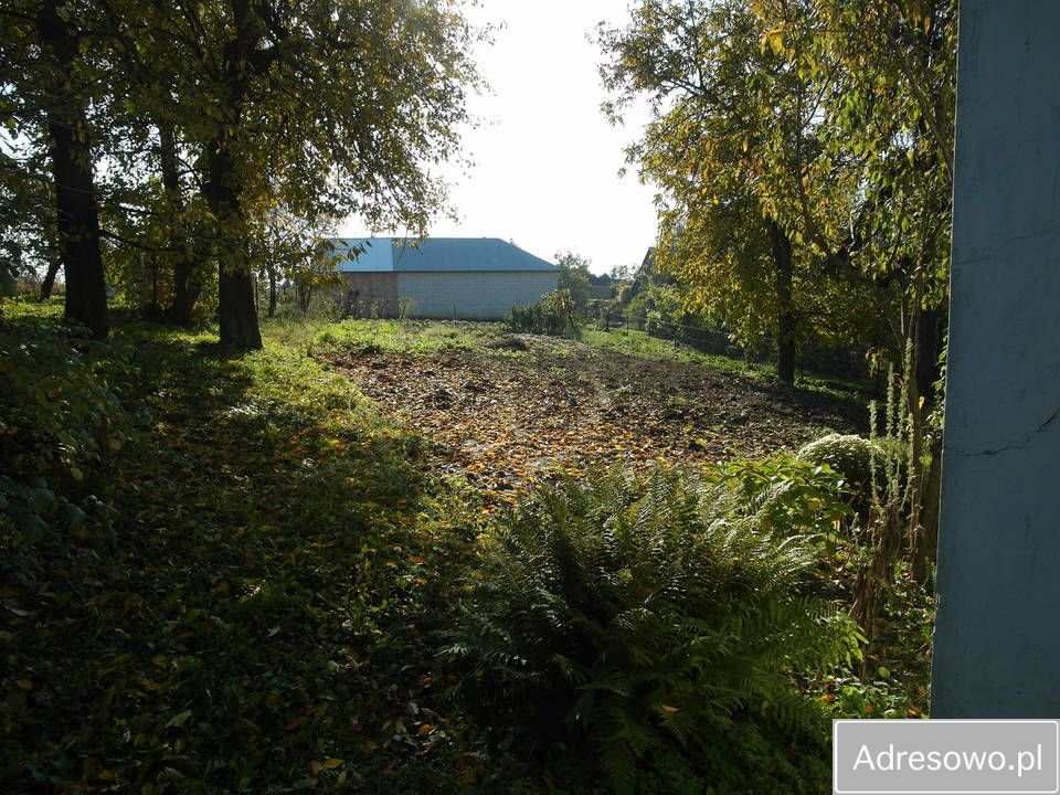 siedlisko Grabowiec-Góra. Zdjęcie 11