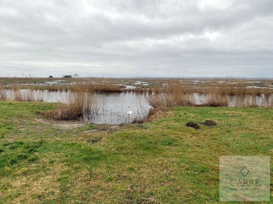 Działka budowlana Świnoujście Przytór. Zdjęcie 11