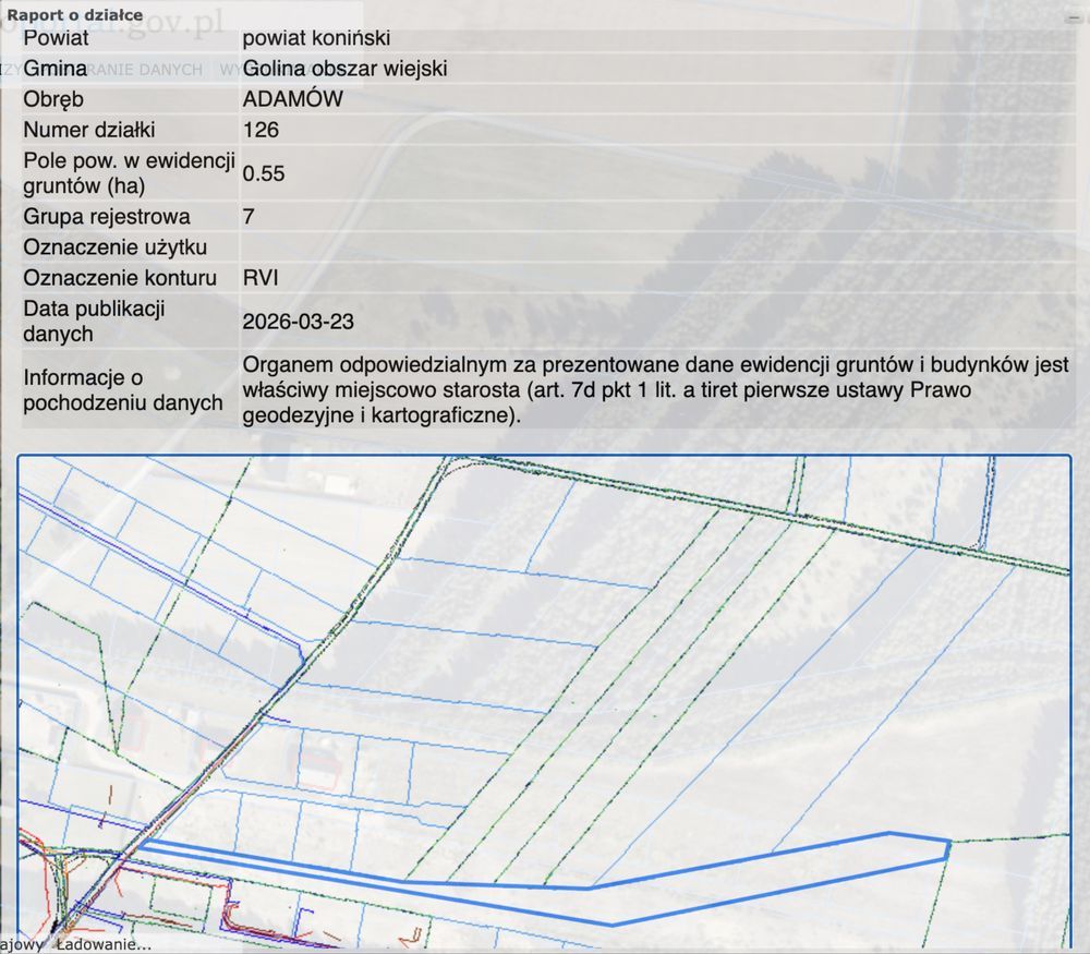 Działka rolna Adamów. Zdjęcie 2