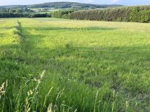 Działka rolno-budowlana Ociesęki. Zdjęcie 2