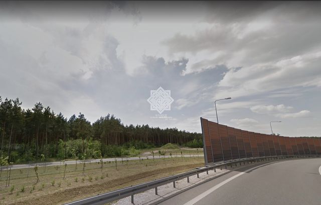 Działka leśna Kuczek. Zdjęcie 3