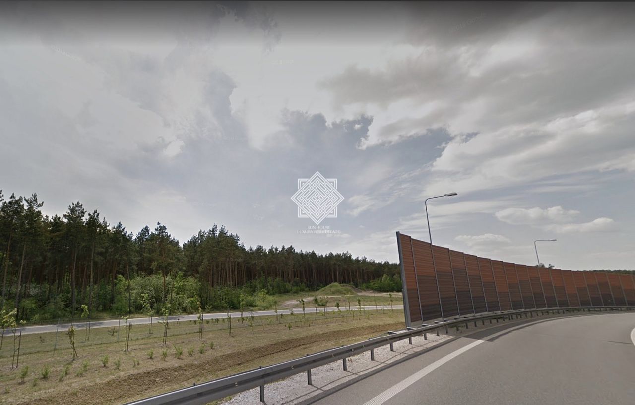 Działka leśna Kuczek. Zdjęcie 3