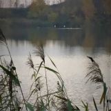 Działka rolno-budowlana Lisewo. Zdjęcie 3