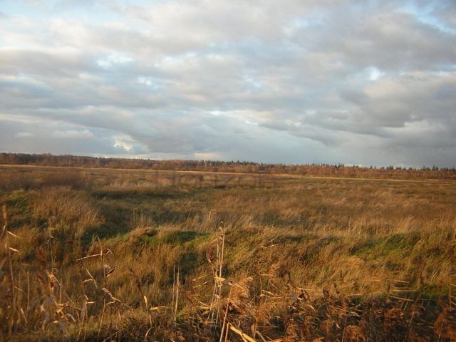 Działka rolna Grzybowo. Zdjęcie 8