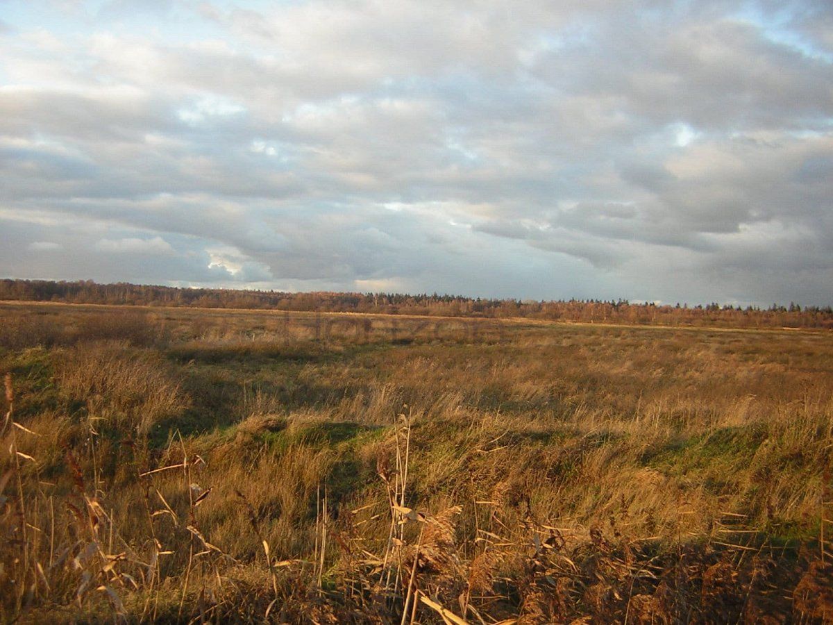 Działka rolna Grzybowo. Zdjęcie 8