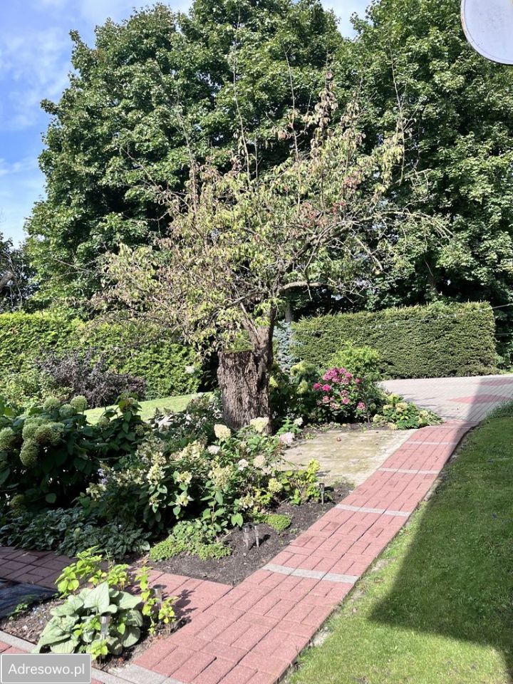 Mieszkanie 4-pokojowe Linowo. Zdjęcie 16