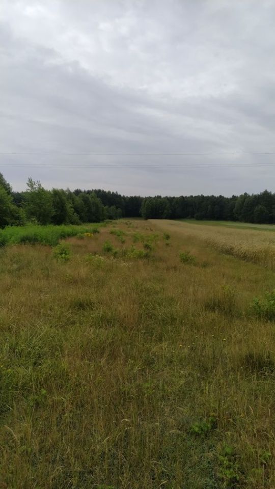 Działka rolna Przyłanki. Zdjęcie 5