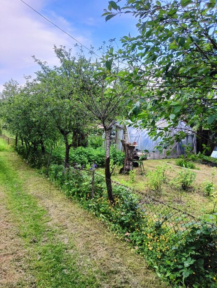 Działka rod Polanica-Zdrój. Zdjęcie 6