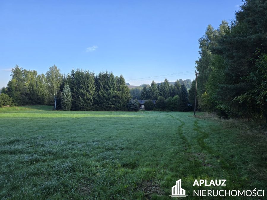 siedlisko, 6 pokoi Rybnica. Zdjęcie 12