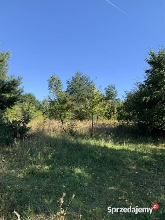 Działka rolno-budowlana Michałów Rudnicki, ul. Sportowa. Zdjęcie 6