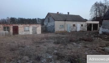 gospodarstwo, 2 pokoje Dąbrowa Biskupia