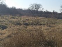 Działka rolna Czersk, ul. Gródź. Zdjęcie 2