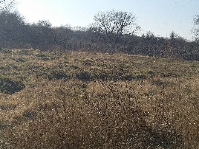 Działka rolna Czersk, ul. Gródź. Zdjęcie 3