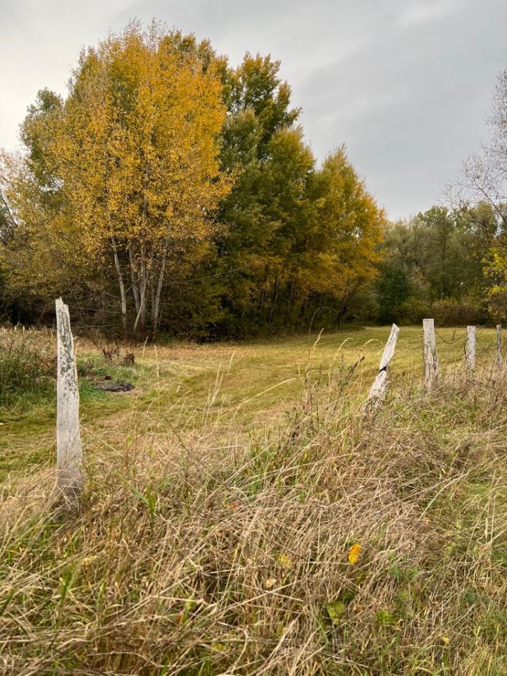 Działka rolno-budowlana Głusk. Zdjęcie 6