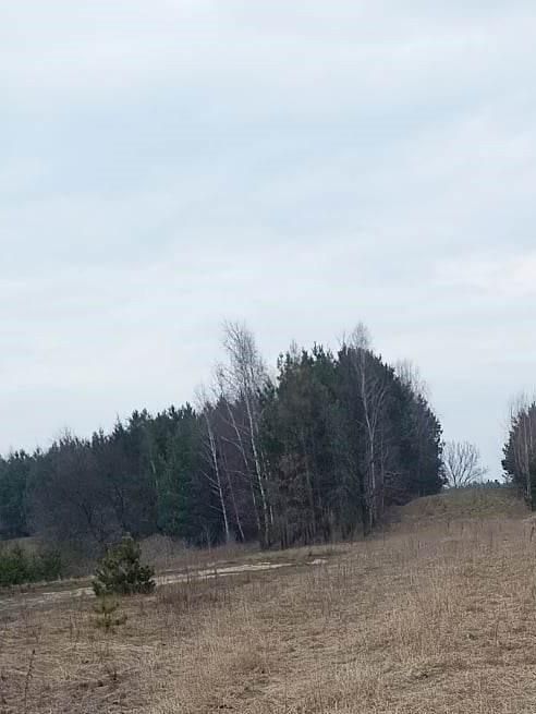 Działka rolno-budowlana Poświętne, ul. Polna. Zdjęcie 5