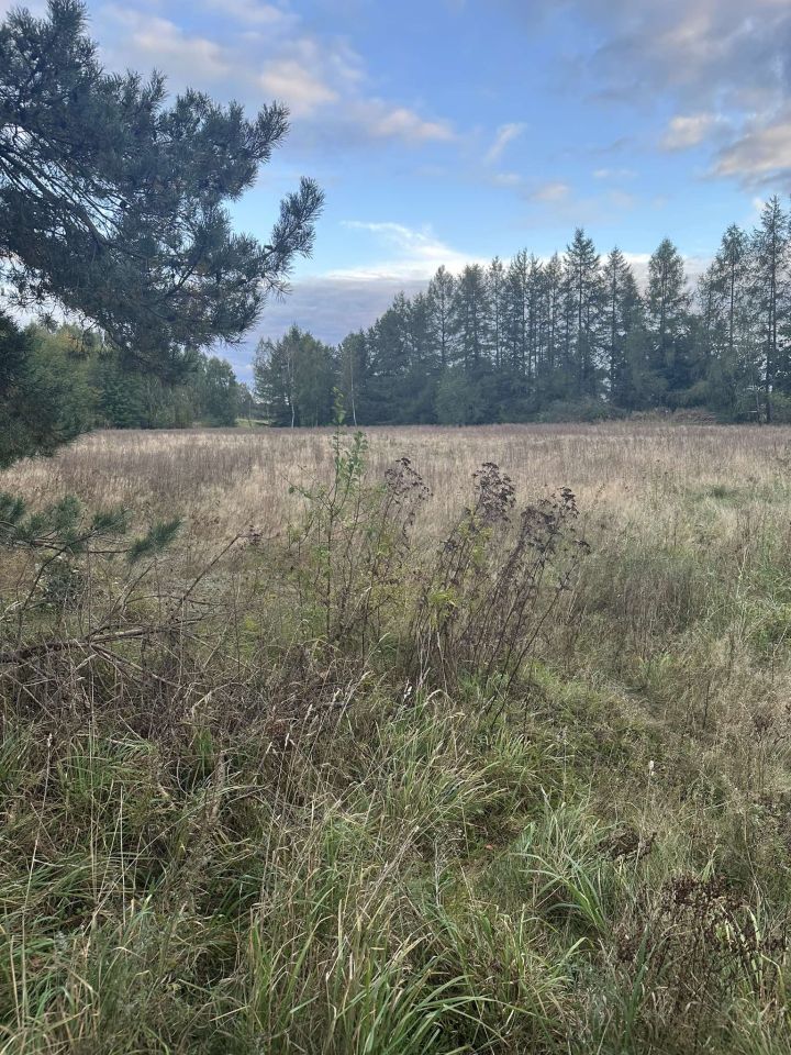 Działka budowlana Wołcza Mała. Zdjęcie 3