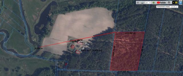 Działka leśna Dłutkowo. Zdjęcie 1