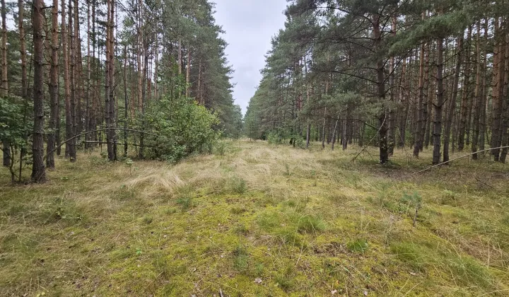 Działka rolna Żarki Czarka