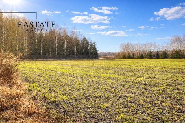 Działka inwestycyjna Harsz. Zdjęcie 1