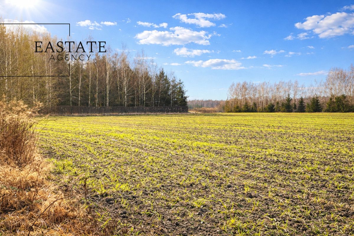 Działka inwestycyjna Harsz. Zdjęcie 1