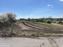 Działka budowlana Niegowonice, ul. Lipowa. Zdjęcie 3