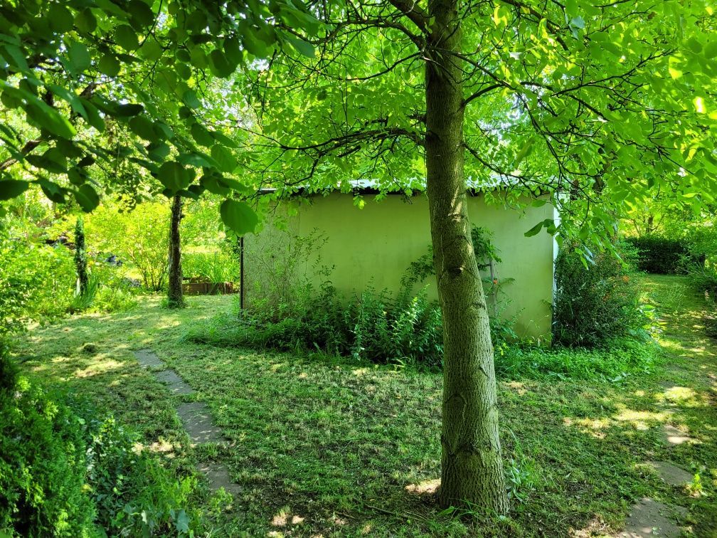 Działka rod Legnica. Zdjęcie 5