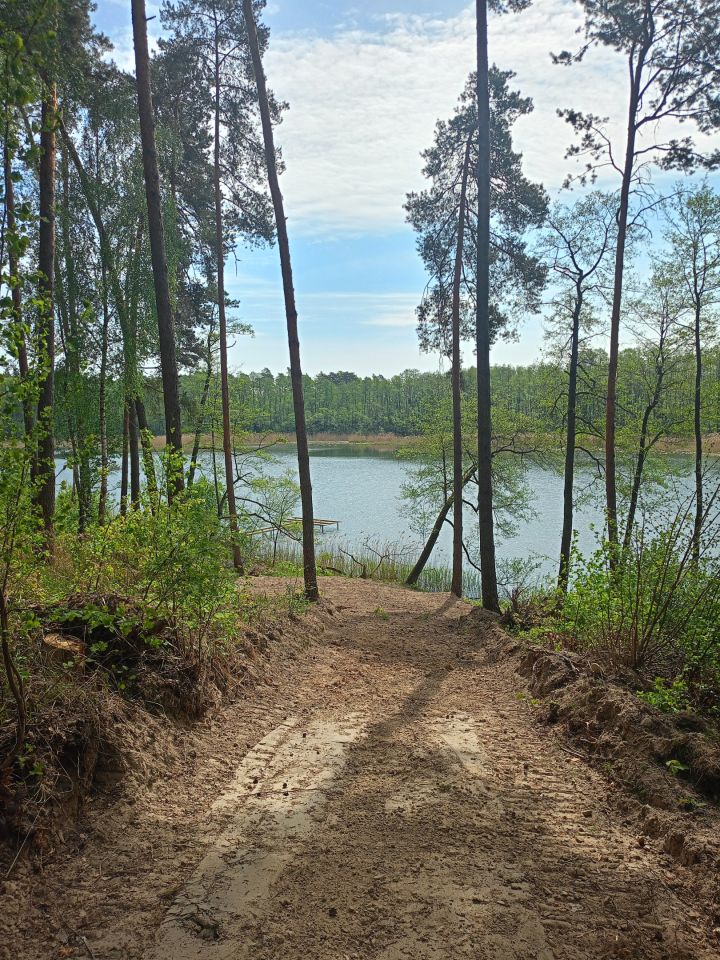 Działka rolno-budowlana Wiele, Brak. Zdjęcie 4