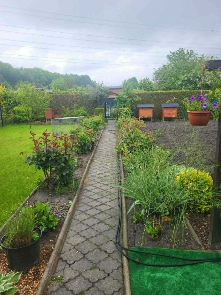Działka rod Rybnik Boguszowice. Zdjęcie 8