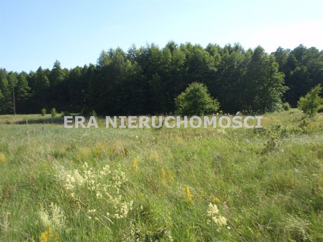 Działka budowlana Sobolewo, ul. Zajęcza. Zdjęcie 1