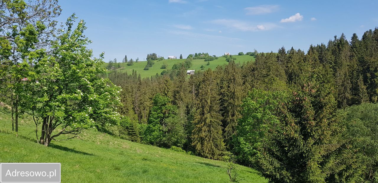 Działka inwestycyjna Leśnica. Zdjęcie 2