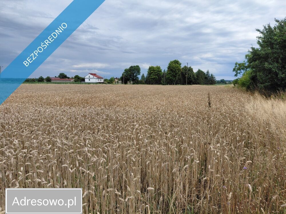 Działka rolno-budowlana Szynkielów