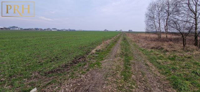 Działka budowlana Koszalin Jamno, ul. Kmieca. Zdjęcie 6