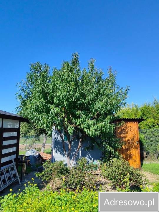 Działka rekreacyjna Wawrów. Zdjęcie 7