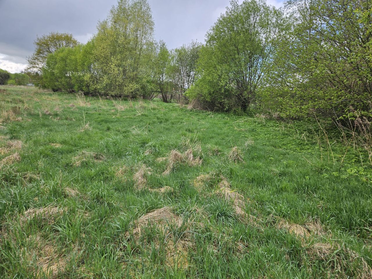 Działka budowlana Czarnkowo. Zdjęcie 5