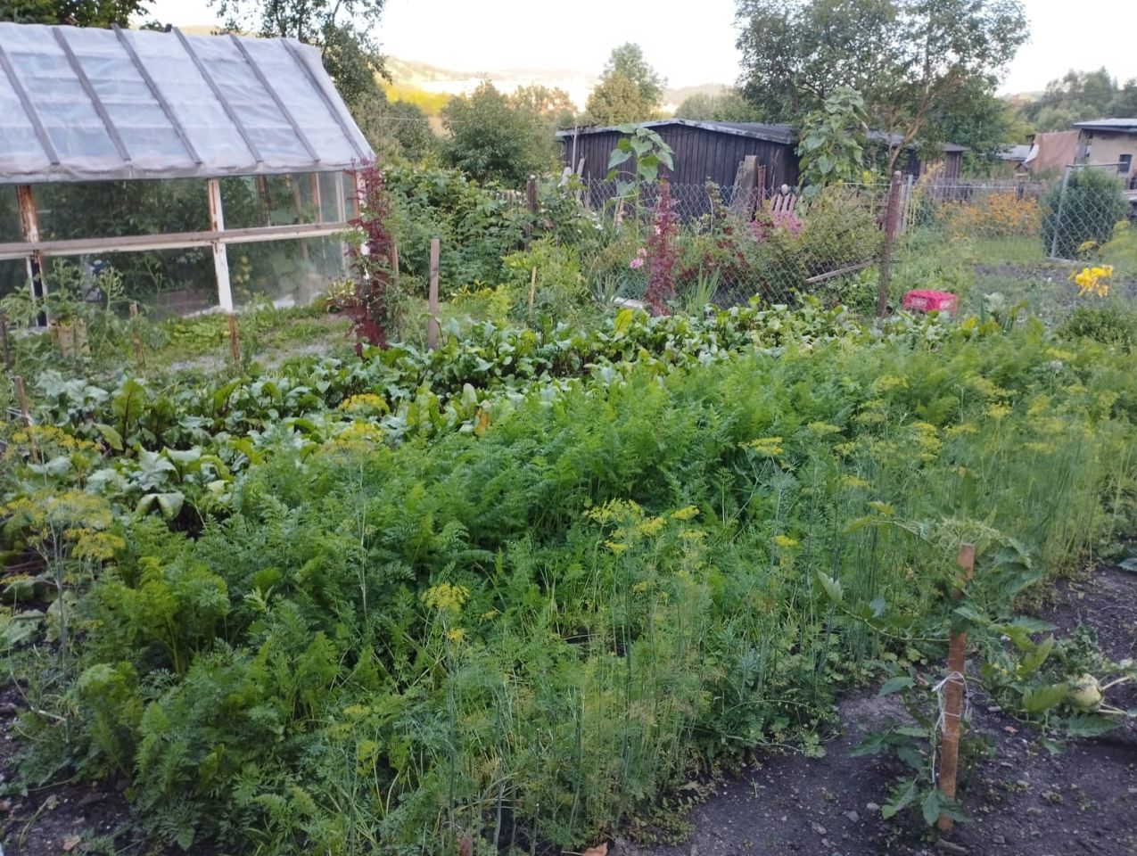 Mieszkanie 2-pokojowe Głuszyca, ul. Kolejowa. Zdjęcie 18