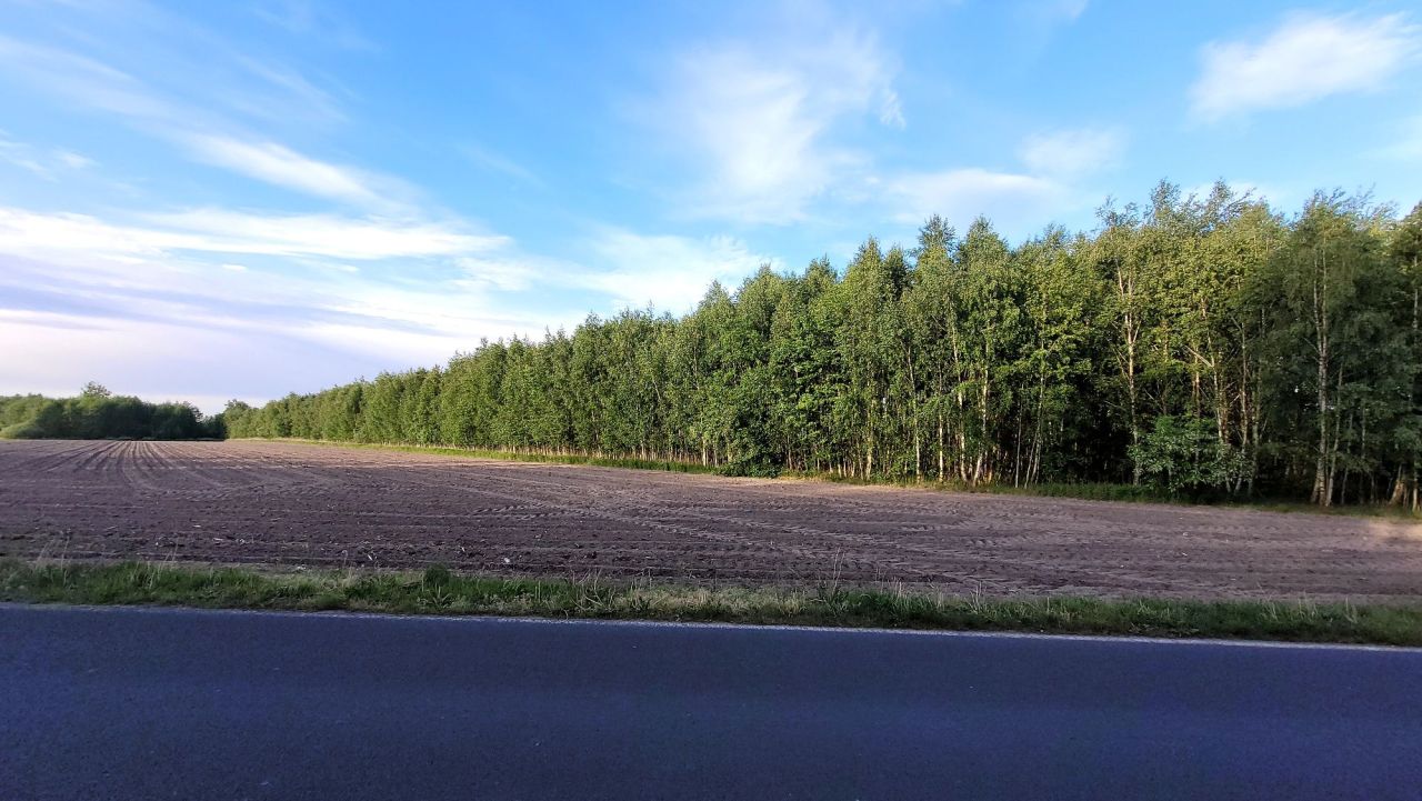 Działka rolna Adamowa Góra. Zdjęcie 2