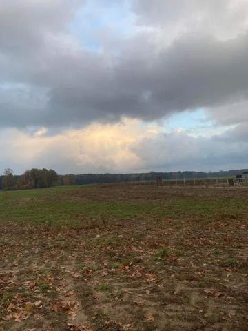 Działka rolno-budowlana Niechłód, ul. Ostoja. Zdjęcie 1