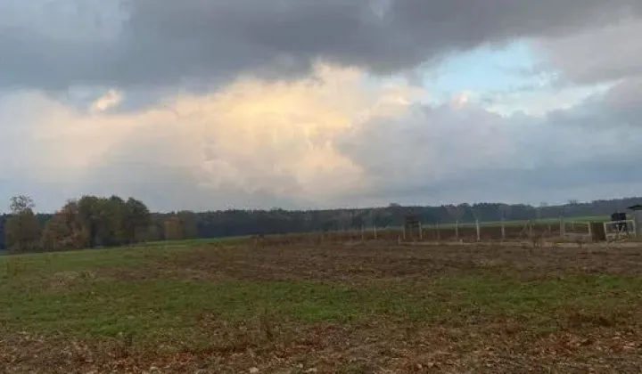 Działka rolno-budowlana Niechłód, ul. Ostoja