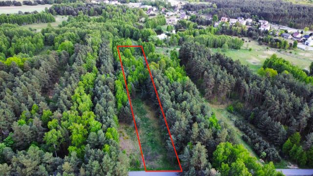 Działka budowlana Panki. Zdjęcie 7