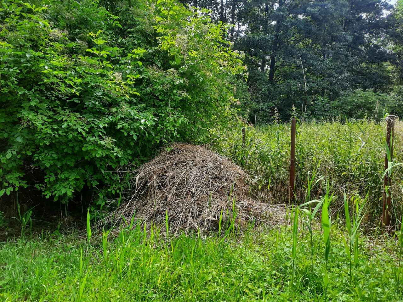 Działka rekreacyjna Minikowo. Zdjęcie 19