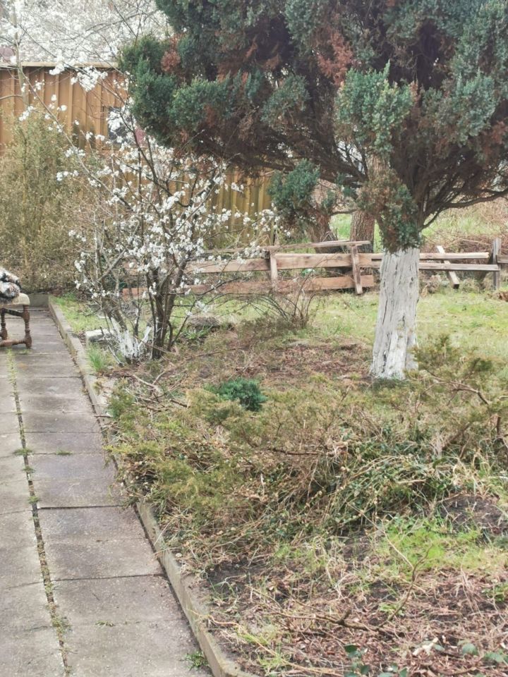 Działka rod Sopot Centrum, ul. Mikołaja Reja. Zdjęcie 3