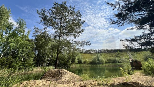 Działka rekreacyjna Osieczna. Zdjęcie 16