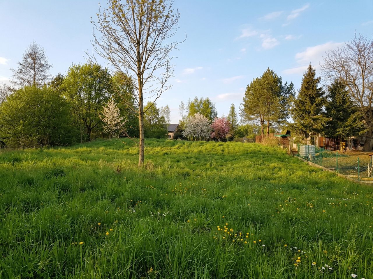 Działka budowlana Ponikiew Chobot. Zdjęcie 2
