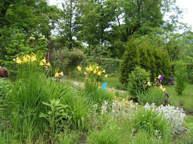 Działka rekreacyjna Zabrze. Zdjęcie 1