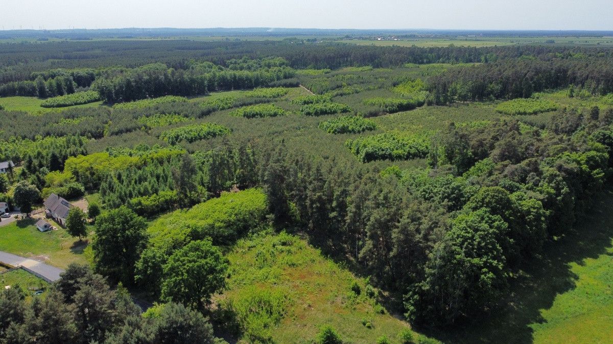 Działka budowlana Kulów. Zdjęcie 3