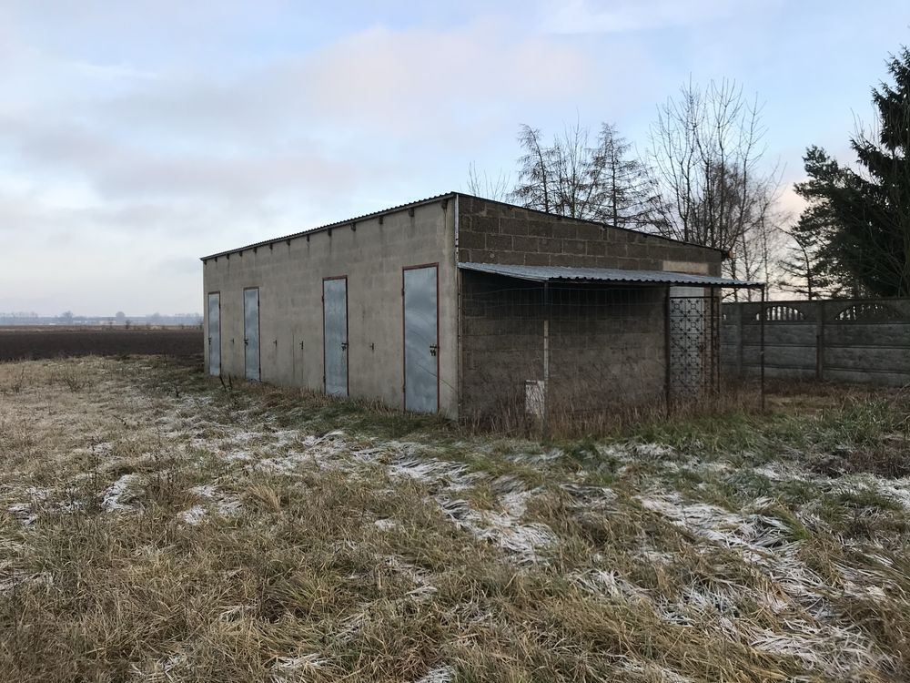 gospodarstwo Czerlejno. Zdjęcie 7